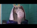 Sing 2 | Heads Will Roll Song | Sing 2