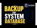 How to Take Backup of All System Databases in SQL Server Complete DBA Guide