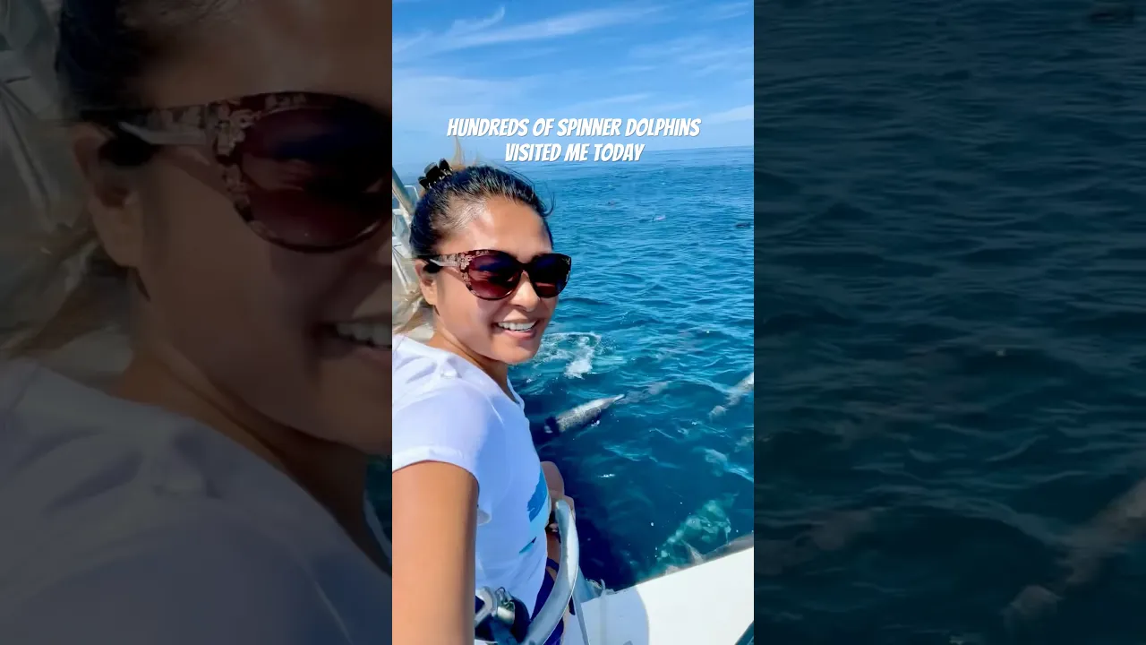 Once a dolphin enters your heart, it can never be removed. #sailing #boatlife #dolphin #lifeatsea
