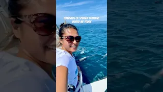 Once a dolphin enters your heart, it can never be removed. #sailing #boatlife #dolphin #lifeatsea