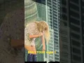 Download Lagu Taylor Swift Anti-Hero Eras Tour row 1 pov