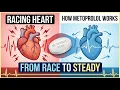 Metoprolol Explained MediChol