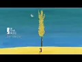 𝗣𝗟𝗔𝗬𝗟𝗜𝗦𝗧 가을밤에 든 생각 | 잔나비, 카더가든, 샘김, 김필 •••