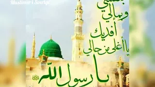 يا ريت انا يا ريت وجه النبي لاقيت دندنها