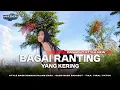 Download Lagu DJ BAGAI RANTING YANG KERING - REMIX DANGDUT KOPLO SLOW BASS TERBARU 2024