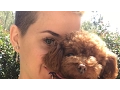 Download Lagu Katy Perry - 🍒 Bon Appétit Music Video Chat 🍒