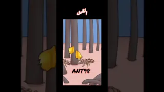 القمل في الشعر القمل الشعر مشاكل الشعر شير 