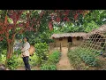 Download Lagu The simple happiness of a single mother - harvesting a bountiful crop in the forest with her son