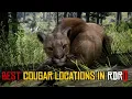 BEST Cougar Locations in RDR2 short easy guide