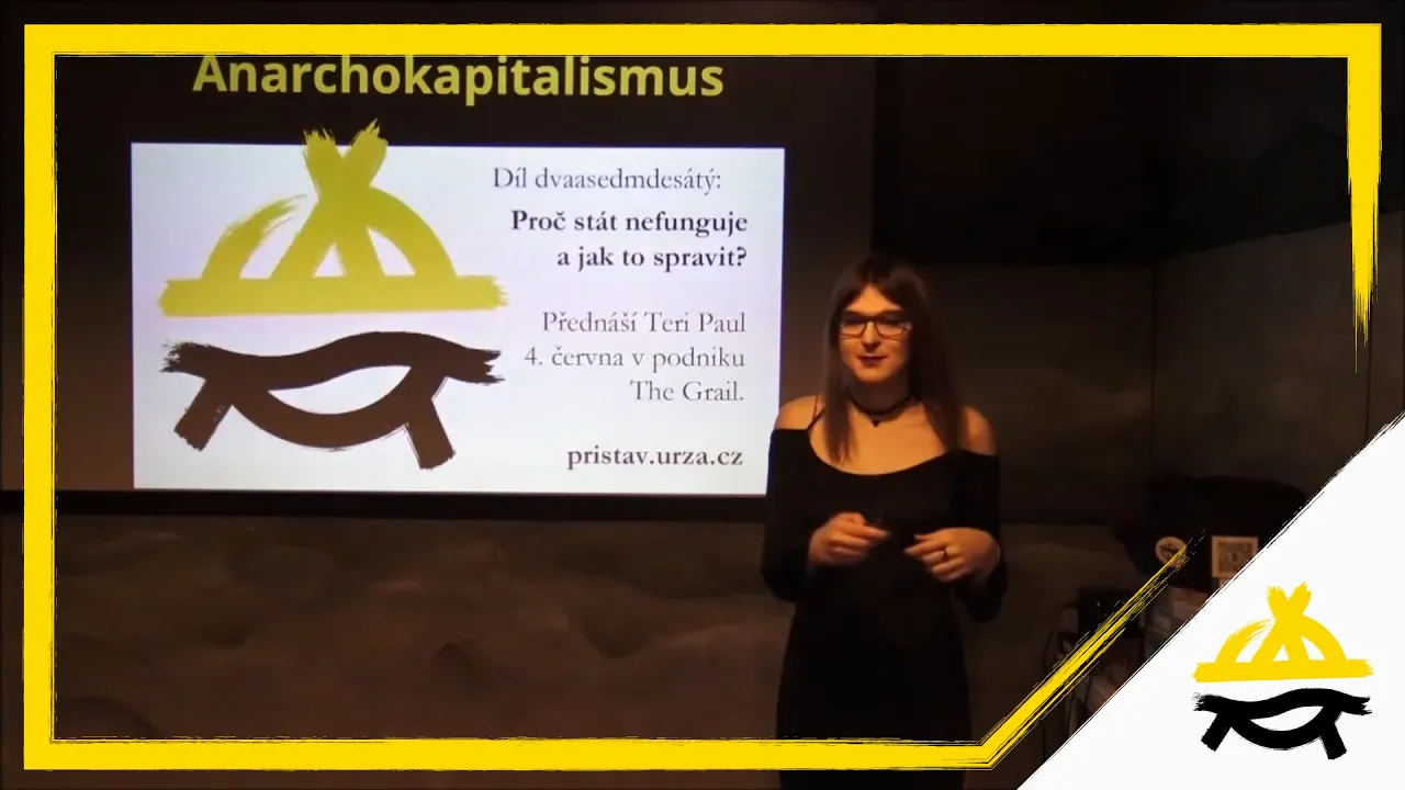 Anarchokapitalismus: Proč stát nefunguje a jak to spravit?