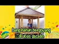 BANG HARUN BERGOYANG DI ATAS GAZEBO
