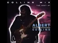 Albert Collins - If Trouble was Money