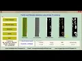 Paddy Leaf Disease Detection using image processing matlab project code