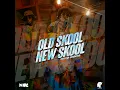 Old Skool New Skool - Ding Dong, DJ MAC & CrashDummy