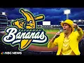Savannah Bananas Jesse Cole What s Going On