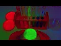 Papa's Land - Color Me