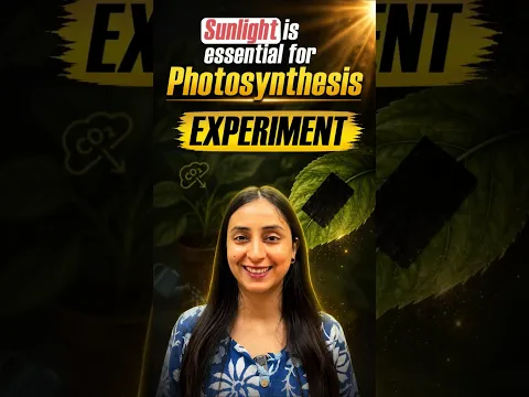 Prove Sunlight is Essential for Photosynthesis | Experiment #neet #biology #shorts #ytshorts #study