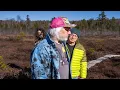 Dinosaur Jr - Several Got Away {2026}