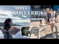 Raccoons invaded our Villa in Costa Rica