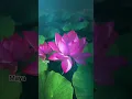 Download Lagu so beautiful##newsong #love song ##music