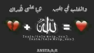 في حماك ربي غايتي رضاك   دندنها