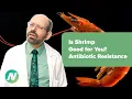 Is Shrimp Good for You Antibiotic Resistance