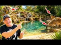 I Visited The Best Zoo in Australia