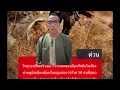 Download Lagu Terima tawaran 20/8/25