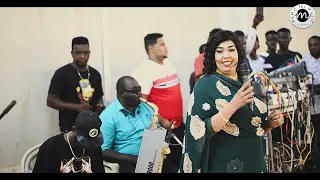 مجاهدة   الدهب ما بصدي   شيشاي   ويزي    ناشفة        اغاني سودانية      دندنها