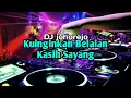 Dj Kuinginkan Belaian Kasih Sayang Remix Slow  Terbaru