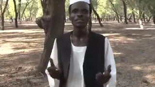 أغاني التاما الفنان سليمان سامبو 