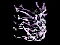 End Of Time (Kungs Remix) - Zara Larsson & Kungs