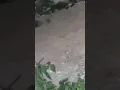 peeping Tom got caught on camera jerk ng off to a woman panty a must