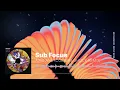 Sub Focus - Airplane (Culture Shock Remix)