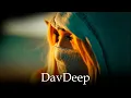 Lagu DavDeep - Amor Mio (Arabic Remix 2026)