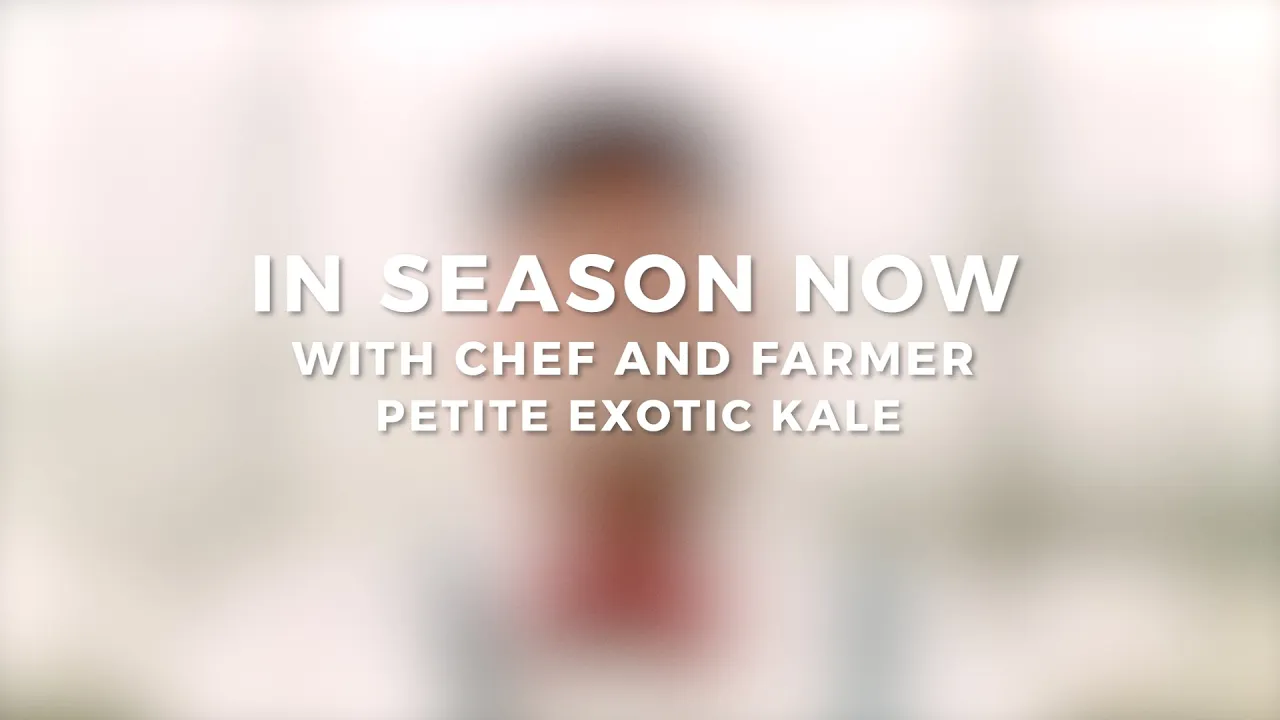 In Season Now with Chef and Farmer   Petite Exotic Kale