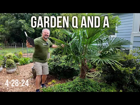 Download MP3 Great Garden Questions Answered - Vinegar Herbicide, Garden Art, Brick Mulch, Foliar Feeding
