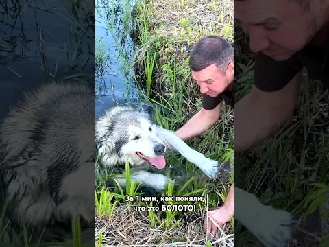 Спасаю Собаку из Болота! Часть 2.