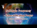 Download Lagu 528Hz - Miracle Tone Frequency, DNA repair, Bring Positive Transformation, Cleanse Negative Energy