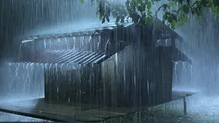 Sleep Instantly In Farm Tent With Heavy Rain Fierce Thunder On A Tin Roof In Rainforest At Night 