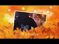 Fiegta - Sabrin | Music , Maroc,chaabi,nayda,hayha, jara,alwa,100%, marocain