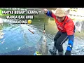 Gak nyangka..! Mancing hari ini bisa panen puluhan kilo kalau begini caranya