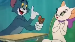 عود البطل حسن شاكوش                                دندنها