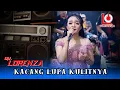 Download Lagu KACANG LUPA KULITNYA - OM LORENZA Dangdut Jadul - GMS Audio - Dangdut Viral Tiktok
