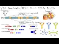 Download Lagu VDJ Recombination - how our adaptive immune system creates antibody diversity