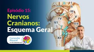 CRANIAL NERVES: GENERAL DIAGRAM
