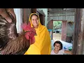 Download Lagu বৃষ্টি ভেজা দিনে বাড়িতে মেহমান চলে আসছে | Doyel Agro