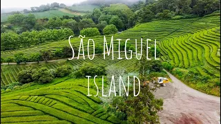 Sailing to the island of funny tasting seltzer flowing from the ground.