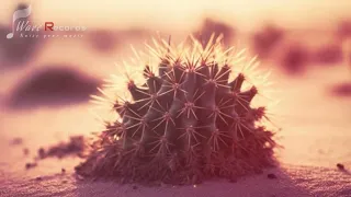 حصري ألبوم شعبيات طريق الزين 