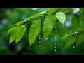 Download Lagu [명상음악] 🌙 3시간 잔잔한 수면유도음악 + 풀벌레소리 🎵 불면증 해소·숙면·스트레스 완화 (My Dream)